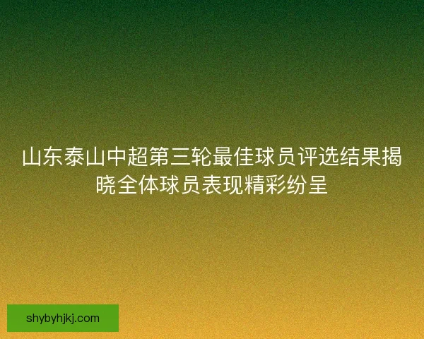 山东泰山中超第三轮最佳球员评选结果揭晓全体球员表现精彩纷呈